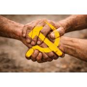 Orak Çekiç, Ortak Açıklama